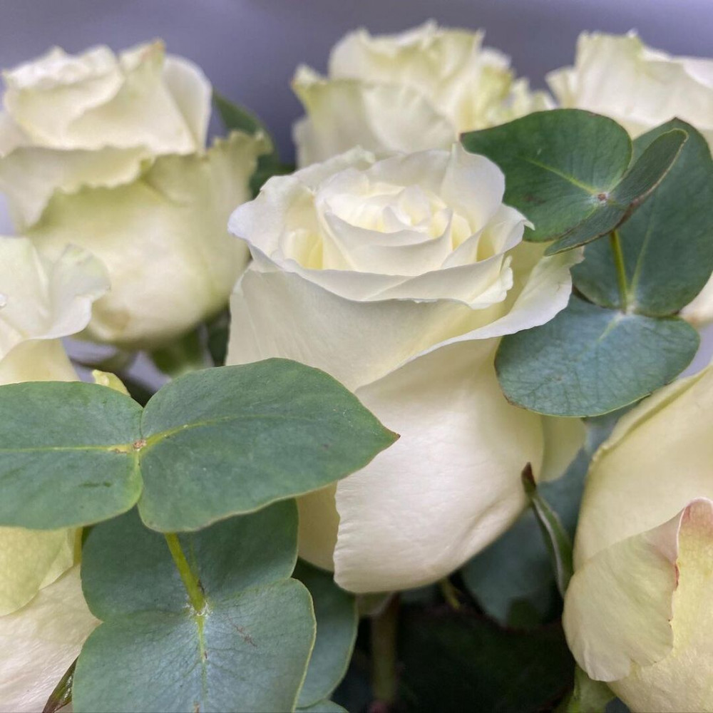 Букет цветов «7 белых роз» - фото 2