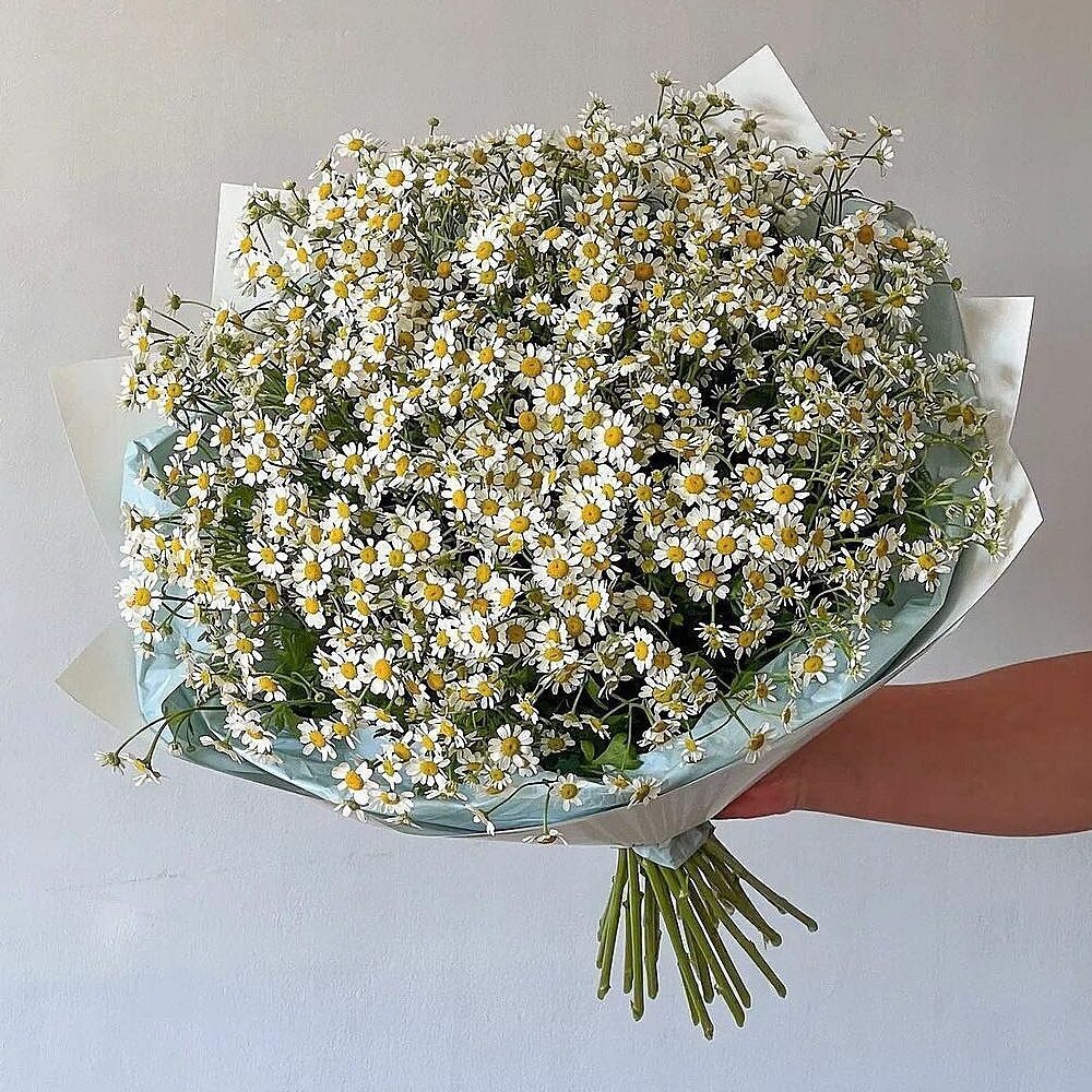 Букет цветов «Монобукет из ромашек»